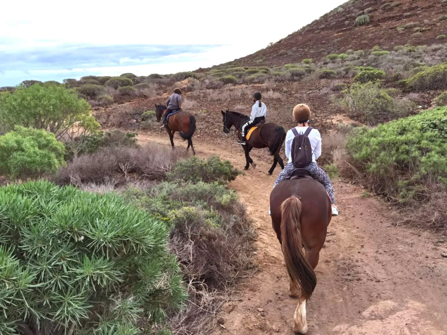 Horse Riding