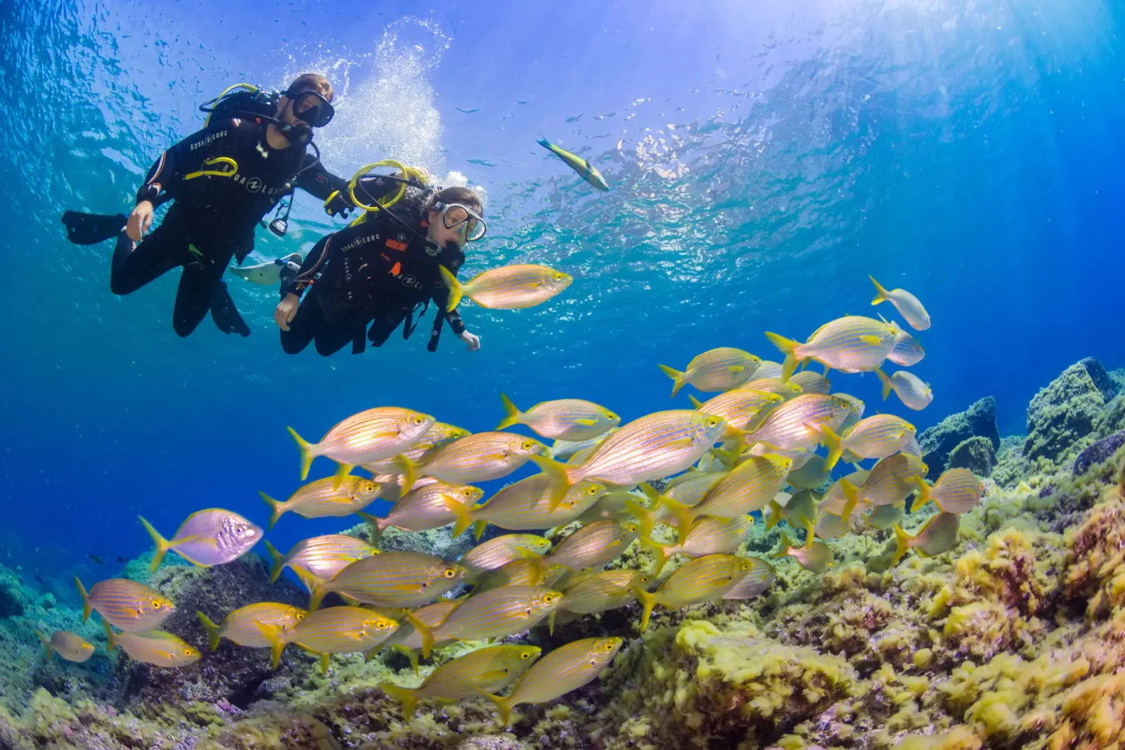 Buceo