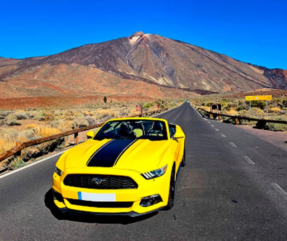 Mustang & American Convertible Tours