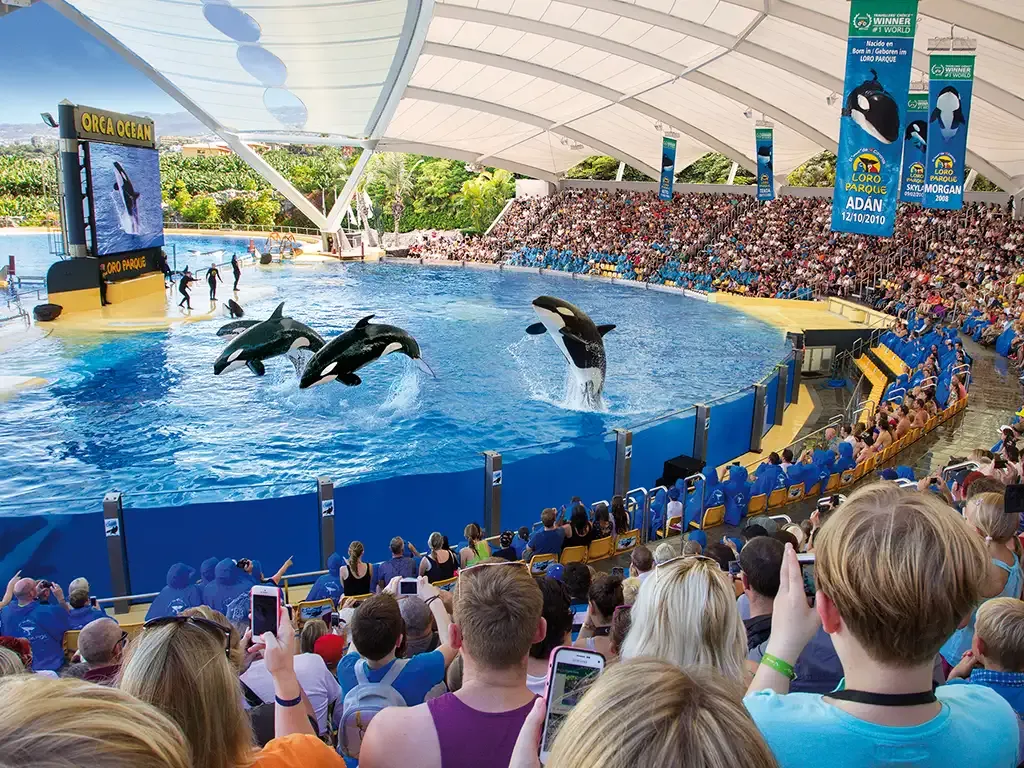 Twin Ticket Loro Parque + Siam Park